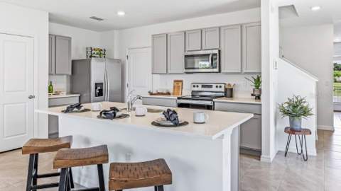 17924 Acorn Drop Road, Land O Lakes FL - photo 8 of 11