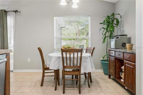 5701 Sweet William Terrace, Land O Lakes FL - photo 8 of 34