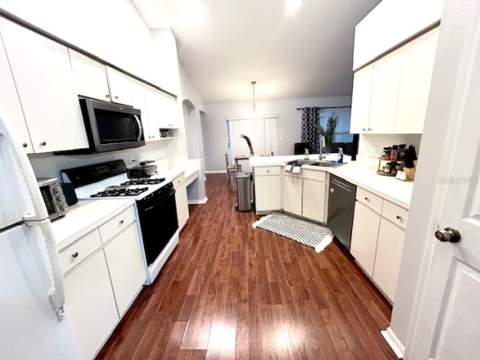 1135 Big Sky Drive, Wesley Chapel FL - photo 11 of 30