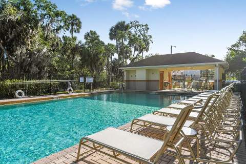 822 Tennyson Mill Circle, Tampa FL - photo 10 of 12