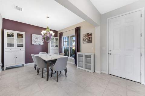 12349 Blue Pacific Drive, Riverview FL - photo 8 of 51