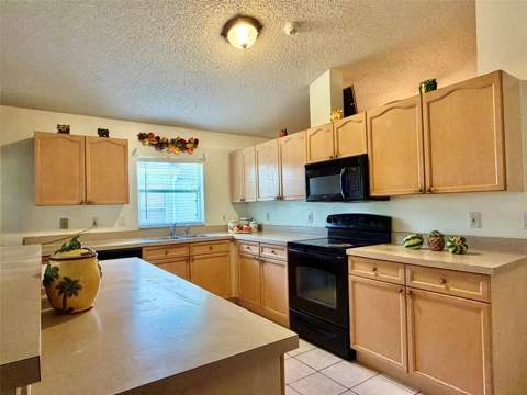 2319 Lily Pad Lane, Kissimmee FL - photo 11 of 36
