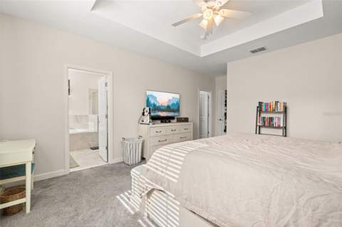 2905 Satire Street, Kissimmee FL - photo 23 of 61