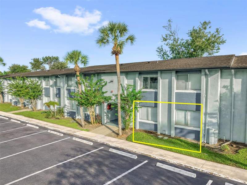 Millennium Palms