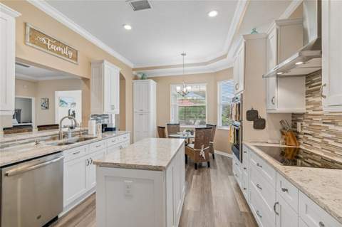 1119 Villeroy Drive, Sun City Center FL - photo 20 of 63