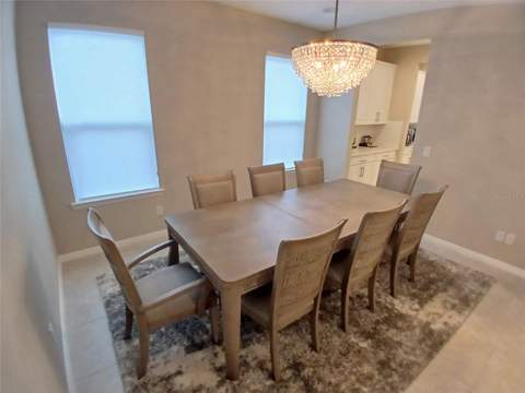 29900 Walsh Oak Drive, Wesley Chapel FL - photo 11 of 87