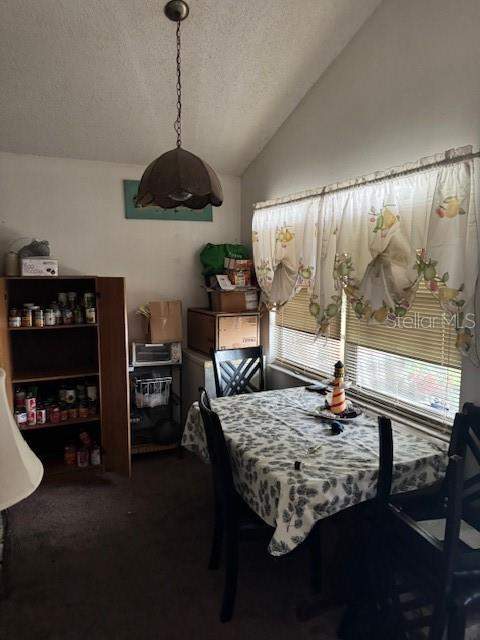 8609 N 13th Street, Tampa FL - photo 9 of 16