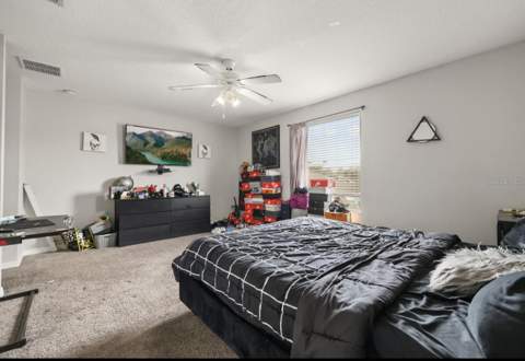 12657 Iris Lake Drive, Orlando FL - photo 10 of 32