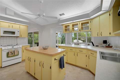 335 River Glass Court, Leesburg FL - photo 9 of 70
