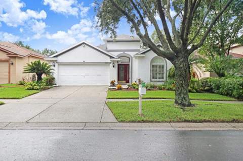 1161 Emerald Hill Way, Valrico FL - photo 10 of 79