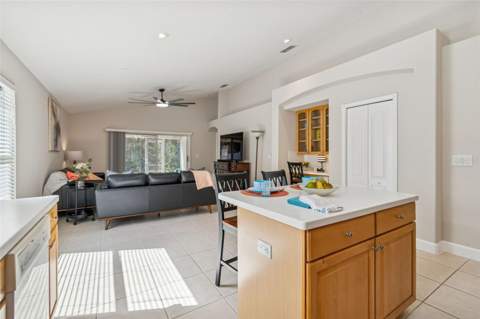 353 Bay Arbor Boulevard, Oldsmar FL - photo 10 of 29