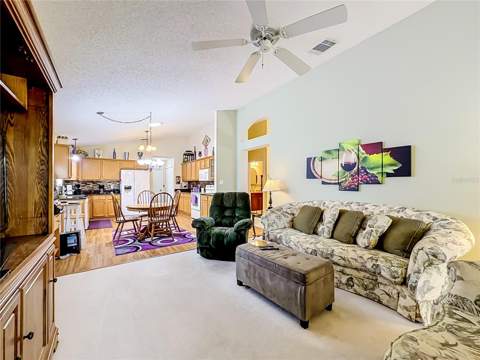 25243 River Crest Drive, Leesburg FL - photo 22 of 70