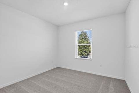 217 Streamwater Way, Groveland FL - photo 18 of 37