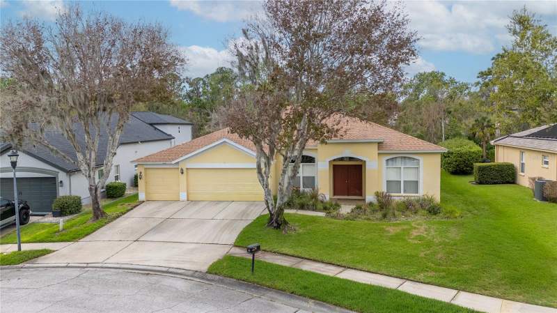 6111 HERONCREST COURT home for sale in Fishhawk Ranch