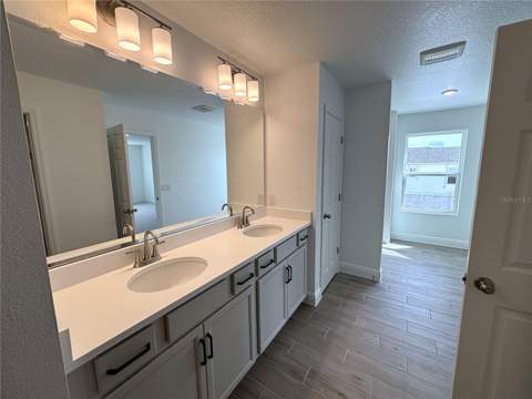 7252 Rolling Leaf Road, Groveland FL - photo 10 of 20