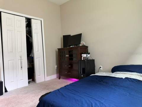 7749 Bronze Oak Drive, Wesley Chapel FL - photo 17 of 38