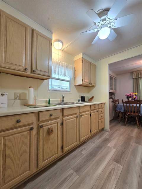 37015 Karen Avenue, Zephyrhills FL - photo 9 of 60