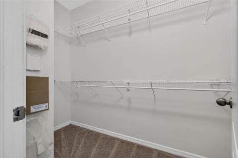 14013 Hollow Leaf Place, Riverview FL - photo 16 of 24