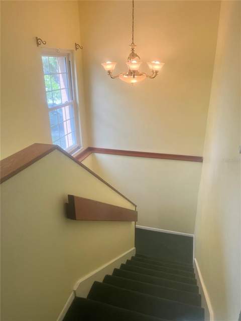 16851 Le Clare Shores Drive, Tampa FL - photo 21 of 53