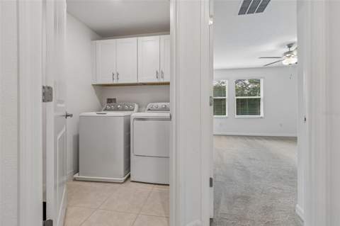 4436 Tuscan Loon Drive, Tampa FL - photo 24 of 60