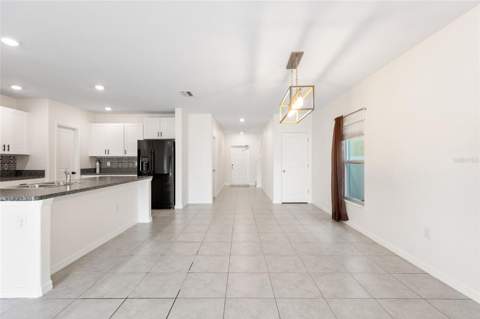 7310 Pearly Everlasting Avenue, Tampa FL - photo 6 of 63