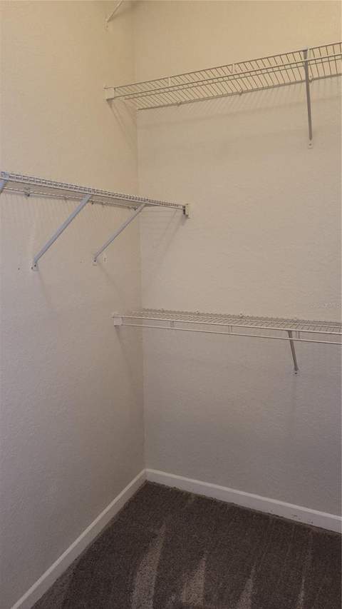 17101 Carrington Park Drive #421, Tampa FL - photo 15 of 17