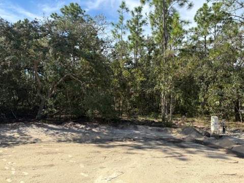 12188 SW 81st Street, Dunnellon FL - photo 19 of 20