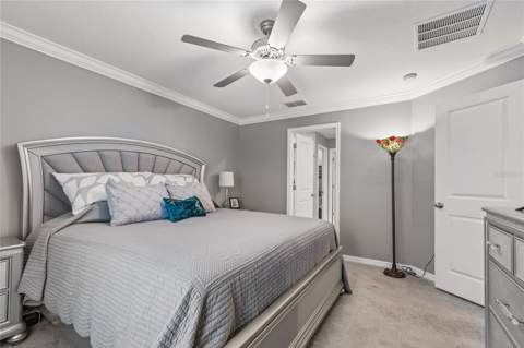 21851 Lyonia Lane, Land O Lakes FL - photo 19 of 50