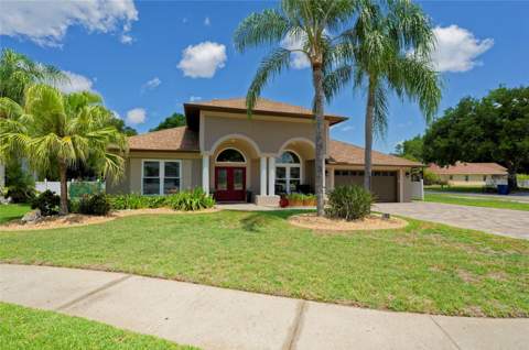 8115 Montock Court, Trinity FL - photo 6 of 6