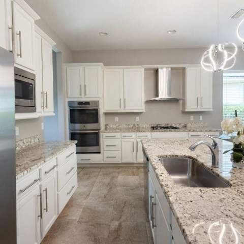31261 Chesapeake Bay Drive, Wesley Chapel FL - photo 8 of 37