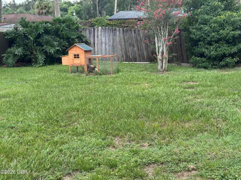 31109 Deal Drive, Mount Plymouth FL - photo 23 of 25
