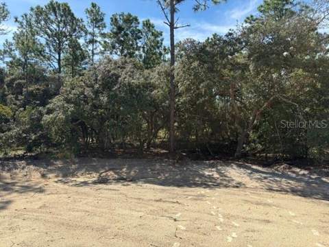 12188 SW 81st Street, Dunnellon FL - photo 20 of 20
