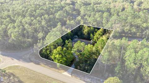 20698 SW 93rd Lane Road, Dunnellon FL - photo 6 of 6
