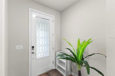 18935 Birchwood Groves Drive, Lutz FL - photo 6 of 6