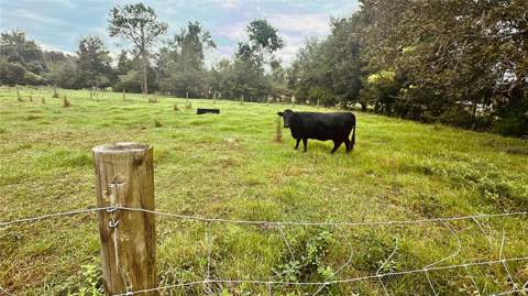 4752 W State Road 235, La Crosse FL - photo 7 of 36