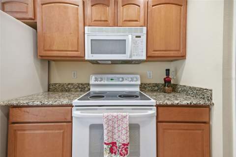 5600 Sir Barton Court, Wesley Chapel FL - photo 15 of 55