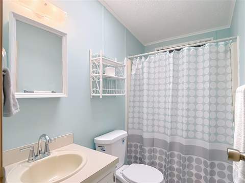 4919 Blanco Drive, Zephyrhills FL - photo 11 of 26