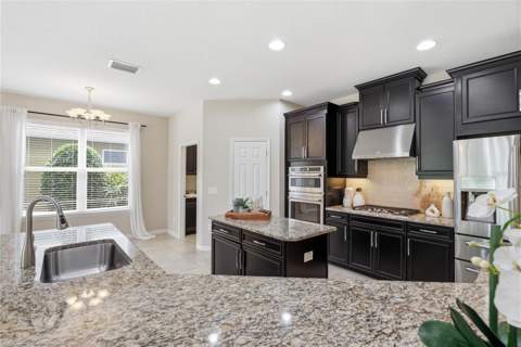 9167 Bella Vita Circle, Land O Lakes FL - photo 15 of 74