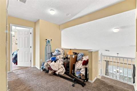 2915 Blooming Alamanda Loop, Kissimmee FL - photo 19 of 31