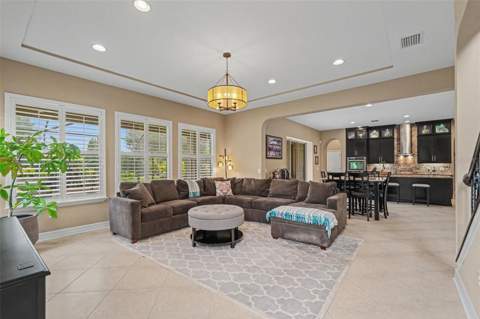 17815 Daisy Farm Drive, Lutz FL - photo 10 of 52