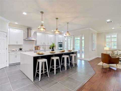 3117 Majestic View Drive, Lutz FL - photo 18 of 71