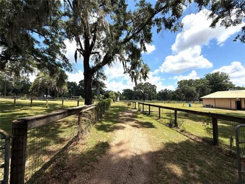 7119 SW 80th Avenue, Ocala FL - photo 8 of 59