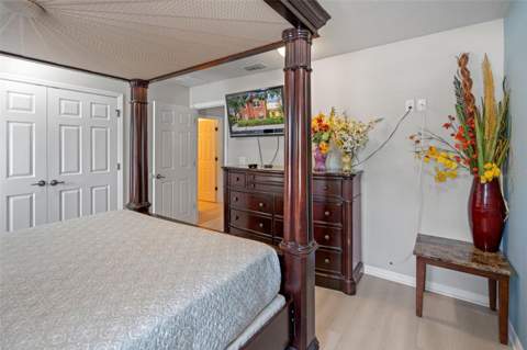 3015 Yellow Lantana Lane, Kissimmee FL - photo 13 of 54