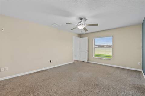 6317 Spider Lily Way, New Port Richey FL - photo 13 of 29