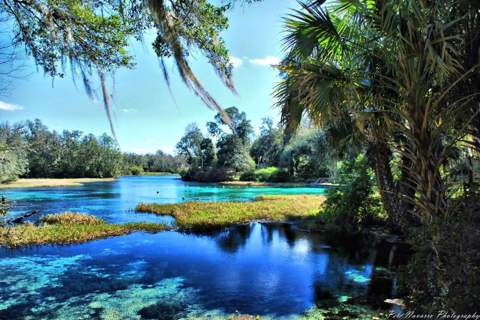 671 W Hallam Drive, Dunnellon FL - photo 6 of 7