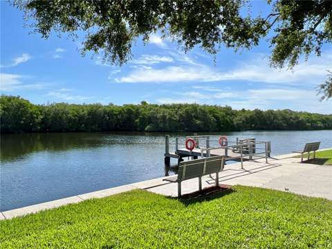 425 Mount Piney Avenue #681, St Petersburg FL - photo 23 of 27
