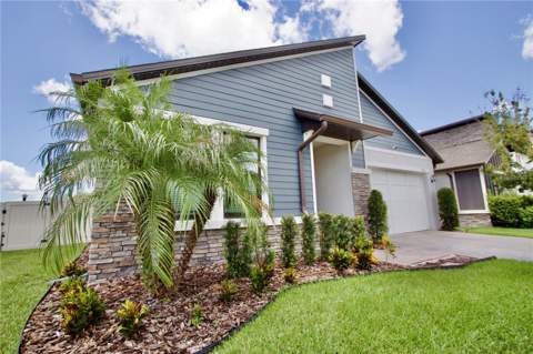 9723 Coneflower Court, Land O Lakes FL - photo 7 of 32