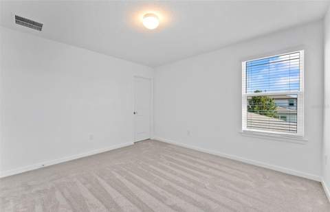 13630 Brookside Haven Street, Riverview FL - photo 18 of 35
