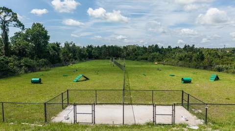 766 Junonia Boulevard, New Smyrna Beach FL - photo 18 of 21