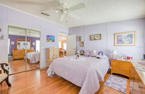 258 Pelican Drive, Oldsmar FL - photo 17 of 51